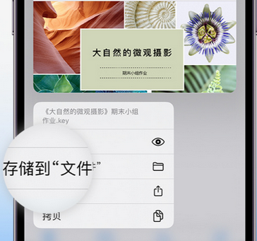 抱由镇apple维修中心分享iPhone文件应用中存储和找到下载文件