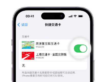 抱由镇apple维修点分享iPhone上更换Apple Pay快捷交通卡手绘卡面 