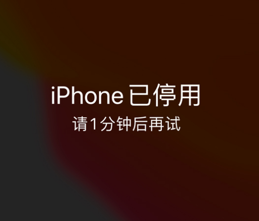 抱由镇苹果手机维修分享:iPhone 显示“不可用”或“已停用”怎么办？还能保留数据吗？ 