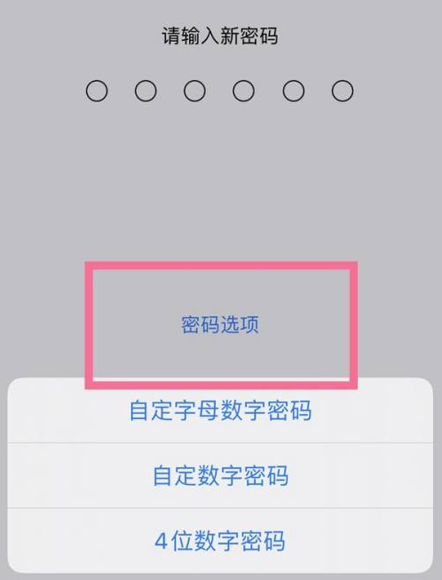 抱由镇苹果14维修分享iPhone 14plus设置密码的方法 