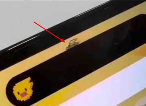 抱由镇苹果14维修分享iPhone 14 Pro Max灵动岛怎么养宠物 