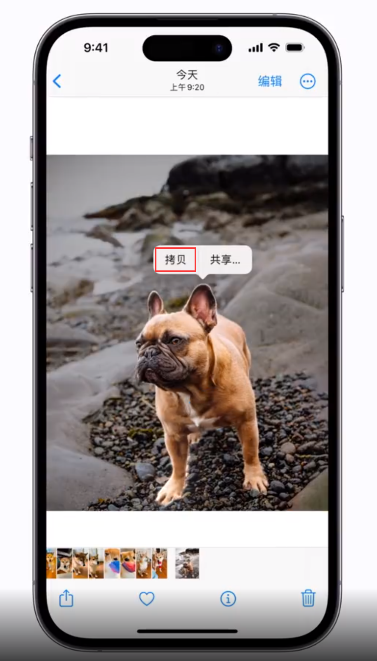 抱由镇苹果手机维修分享 iOS 16 自带一键抠图功能 