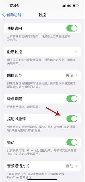 抱由镇苹果手机维修分享iPhone手机如何设置摇一摇删除文字 