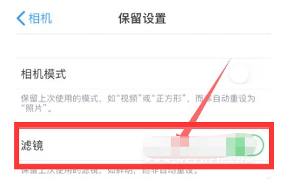 抱由镇苹果13维修分享iPhone13拍照有绿点是怎么回事 