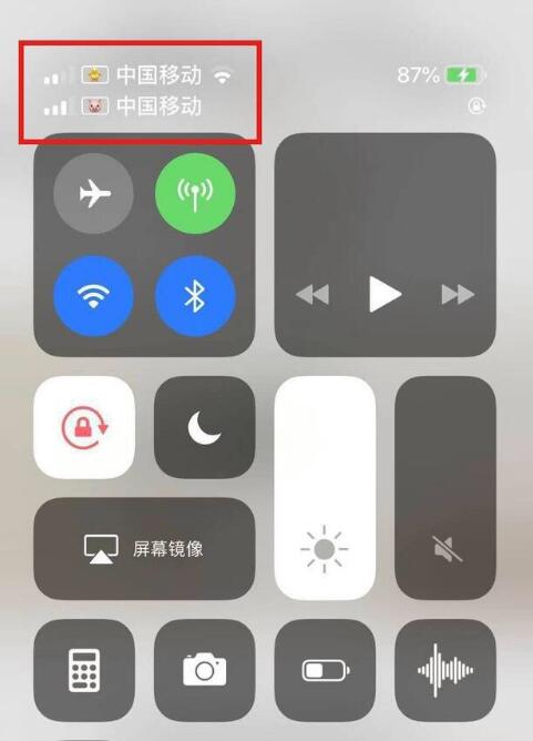 抱由镇苹果手机维修分享为 iPhone 12 双卡设置标签 