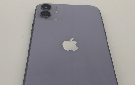 抱由镇苹果11系统维修分享iPhone11手机系统崩溃无法开机如何解决